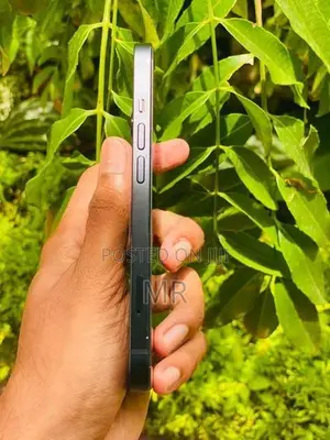Apple iPhone 13 (Used)