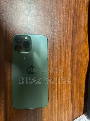 Apple iPhone 13 Pro Max (Used)