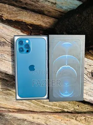 Apple iPhone 12 Pro Max (Used)