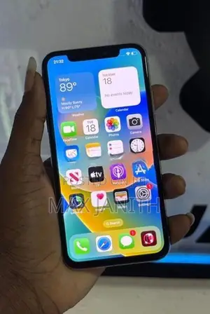 Apple iPhone X 256 GB (Used)