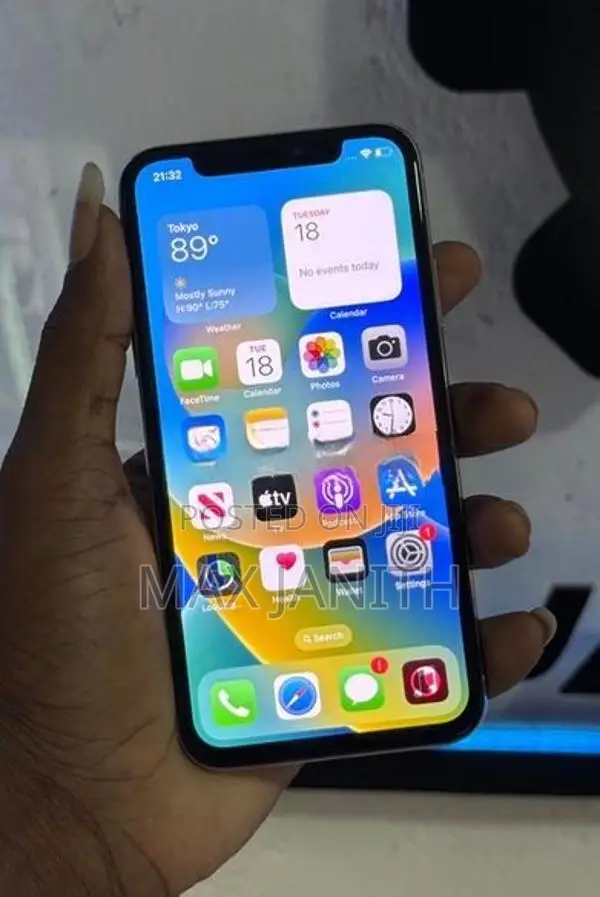 Apple iPhone X 256 GB (Used)