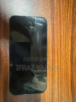 Apple iPhone 13 Pro Max (Used)