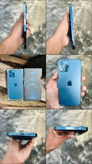 Apple iPhone 12 Pro Max (Used)