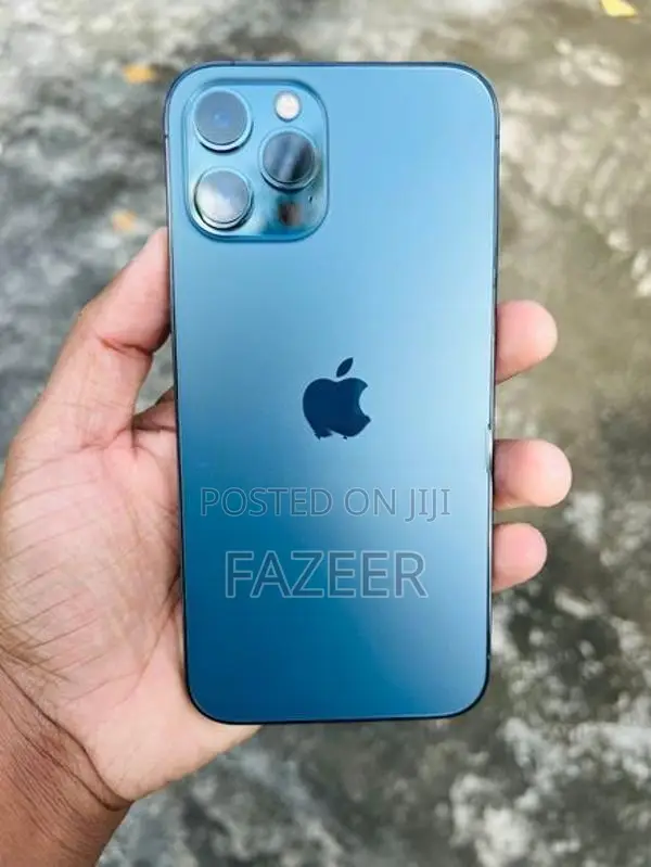 Apple iPhone 12 Pro Max (Used)