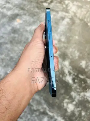 Apple iPhone 12 Pro Max (Used)