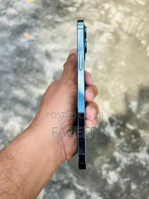 Apple iPhone 12 Pro Max (Used)