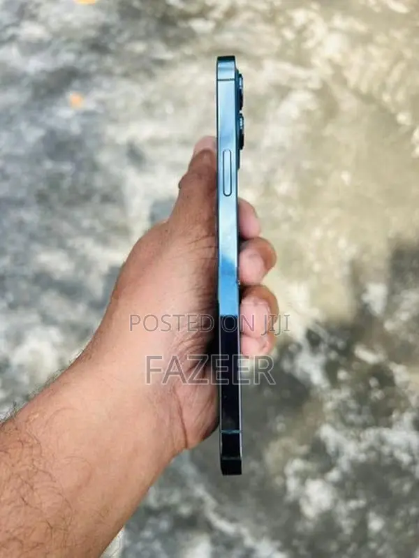 Apple iPhone 12 Pro Max (Used)