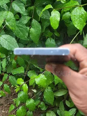 Samsung Galaxy S23 Ultra (Used)