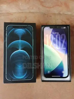 Apple iPhone 12 Pro Max (Used)