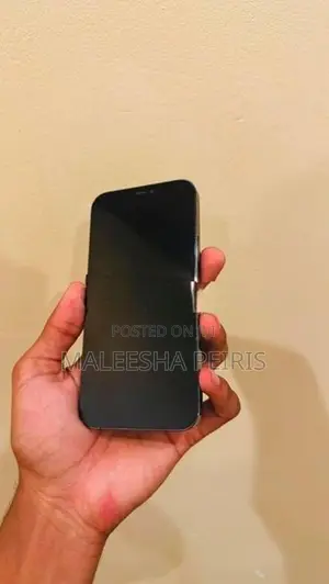 Apple iPhone 12 Pro (Used)