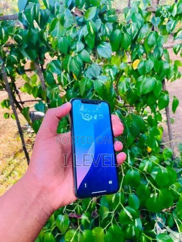 Apple iPhone XS (Used)