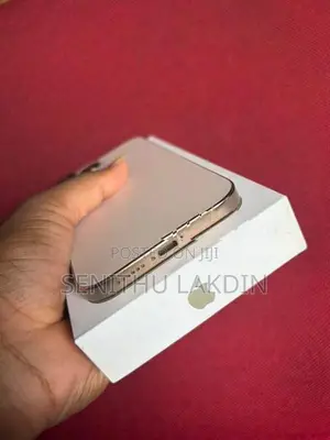 Apple iPhone 16 Pro Max 256GB (Used)