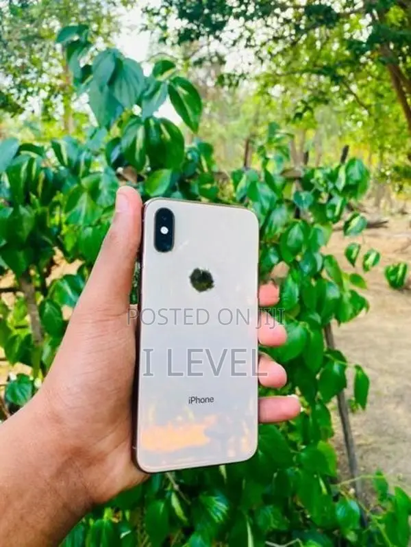 Apple iPhone XS (Used)