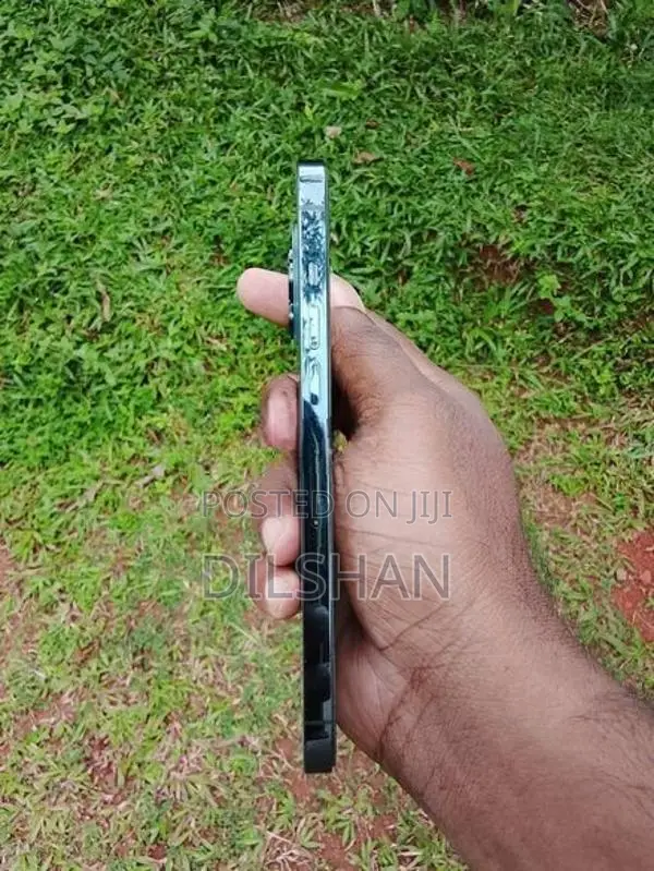 Apple iPhone 12 Pro Max (Used)