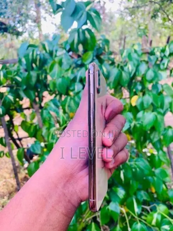 Apple iPhone XS (Used)