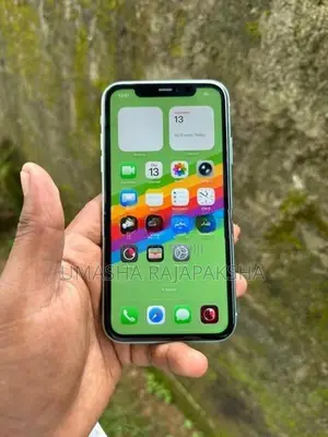 Apple iPhone 11 64GB (Used)