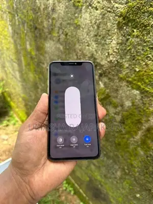 Apple iPhone 11 Pro Max 256GB (Used)