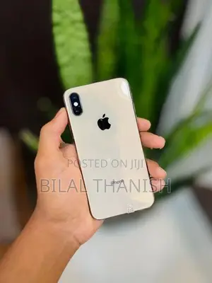 Apple iPhone XS 256GB (Used)