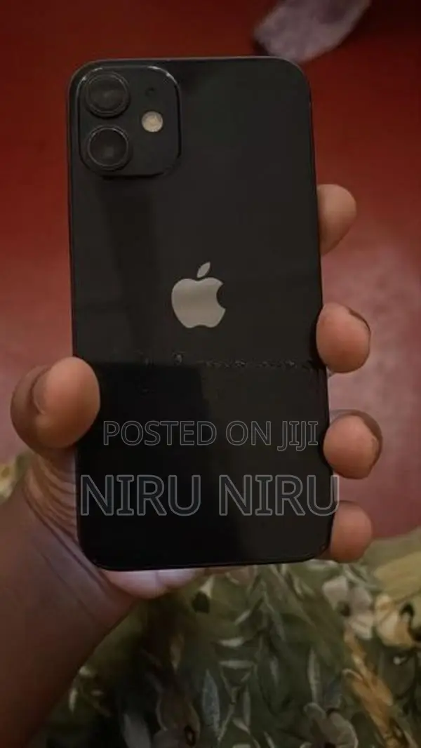 Apple iPhone 12 mini (Used)