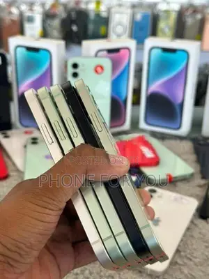 Apple iPhone 12 (Used)