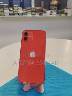 Apple iPhone 12 (Used)