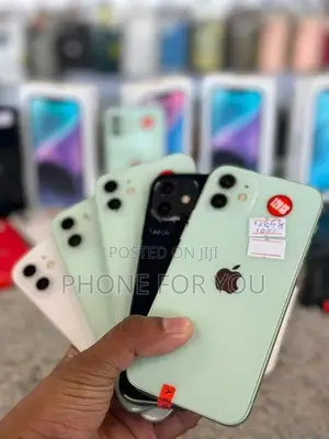Apple iPhone 12 (Used)