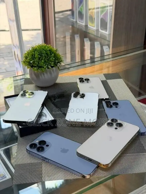 Apple iPhone 13 Pro (Used)