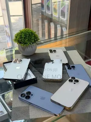 Apple iPhone 13 Pro (Used)