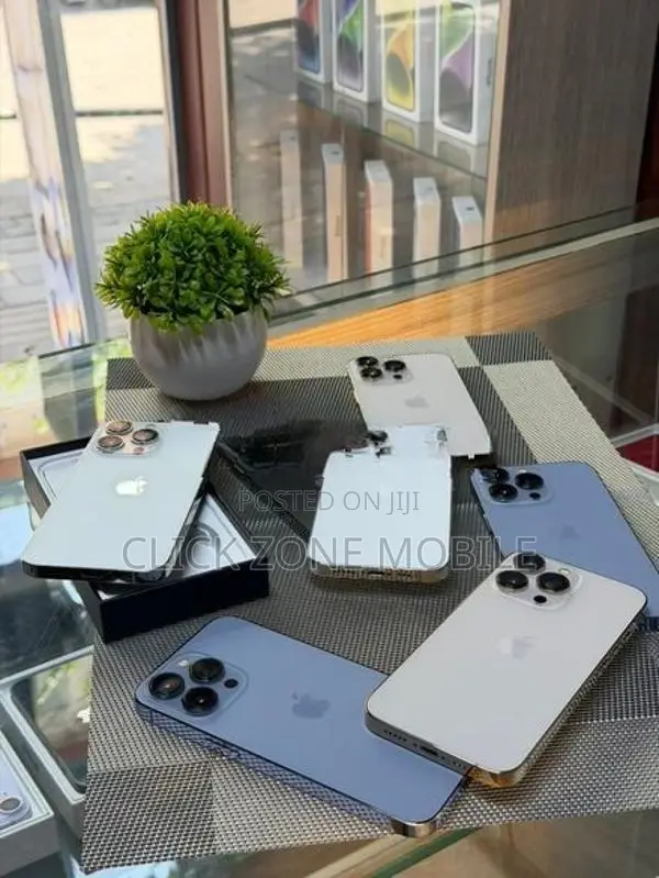 Apple iPhone 13 Pro (Used)