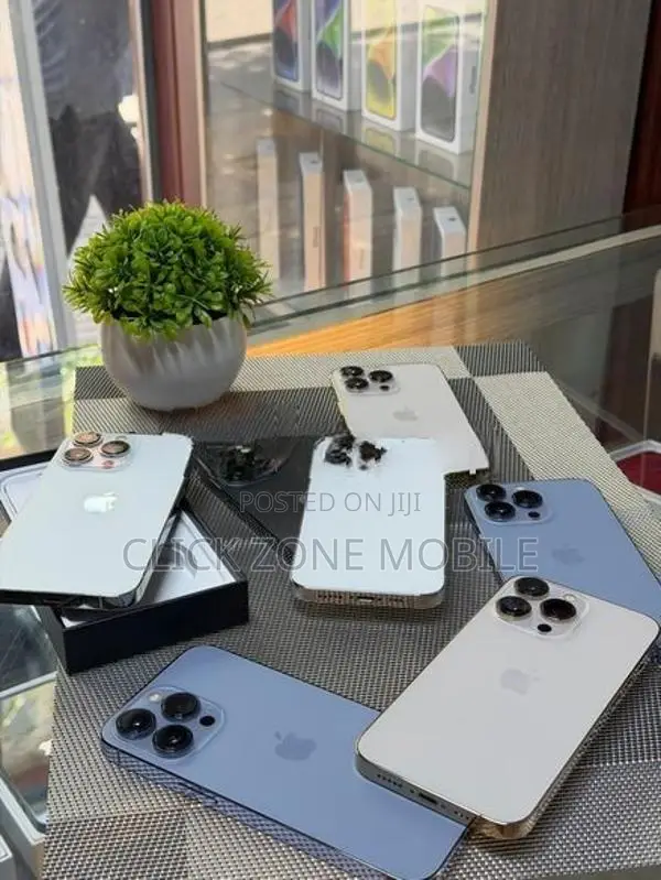 Apple iPhone 13 Pro (Used)