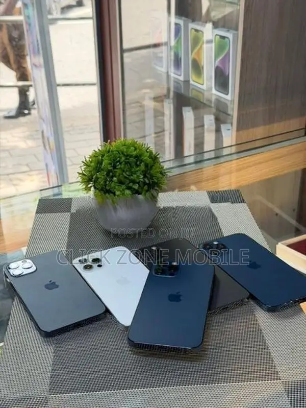 Apple iPhone 12 Pro (Used)