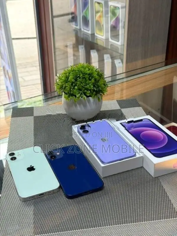 Apple iPhone 12 mini (Used)