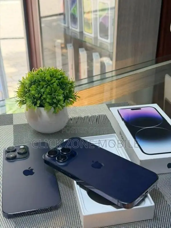 Apple iPhone 14 Pro Max 256GB (Used)