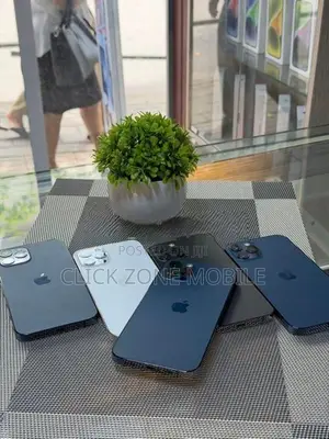 Apple iPhone 12 Pro (Used)
