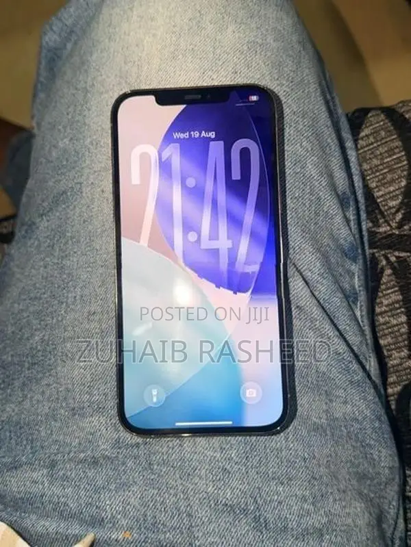 Apple iPhone 12 Pro Max (Used)
