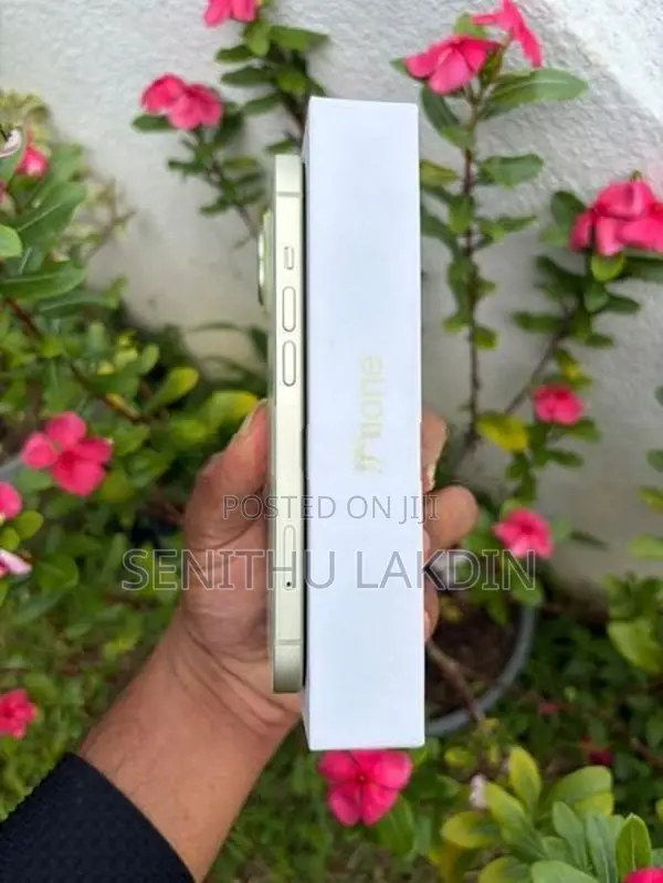 Apple iPhone 15 128GB (Used)