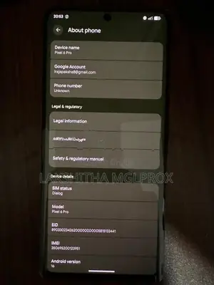 Google Pixel 6 Pro (Used)