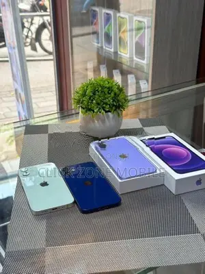 Apple iPhone 12 mini (Used)