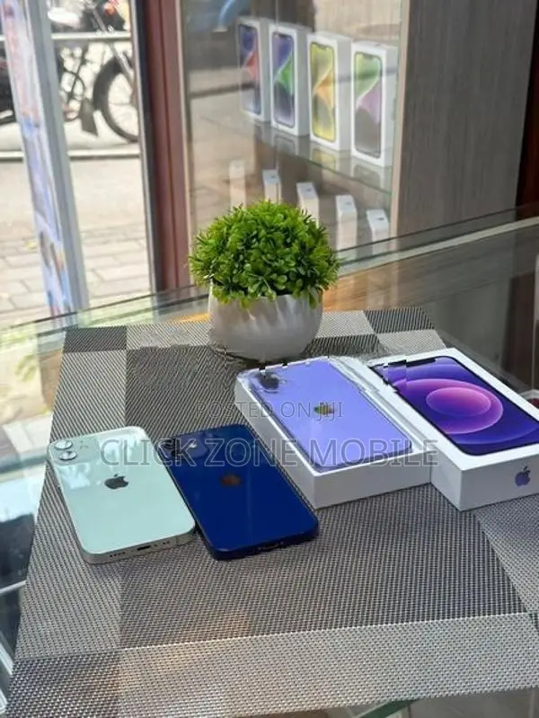 Apple iPhone 12 mini (Used)