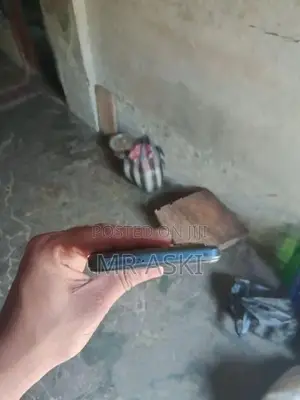 Vivo T1 5G (Used)