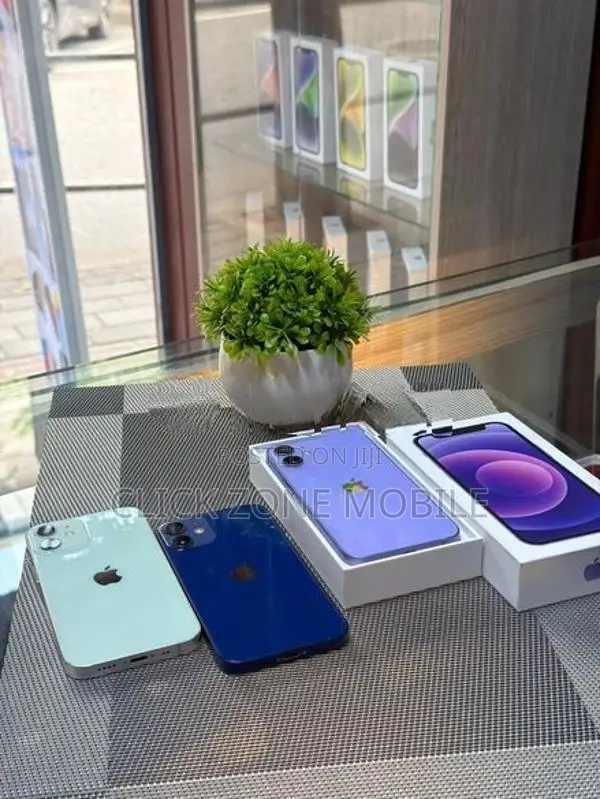 Apple iPhone 12 mini (Used)