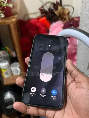 Apple iPhone 12 Pro (Used)