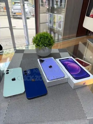 Apple iPhone 12 mini (Used)