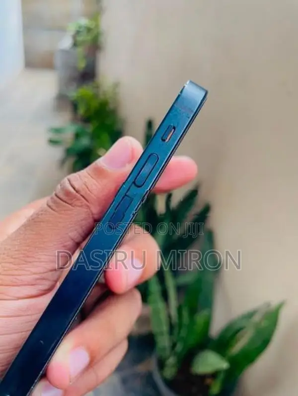 Apple iPhone 13 mini (Used)