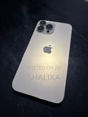 Apple iPhone 13 Pro Max 256GB (Used)