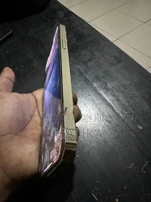 Apple iPhone 13 Pro Max 256GB (Used)