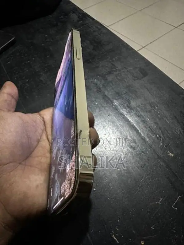 Apple iPhone 13 Pro Max 256GB (Used)
