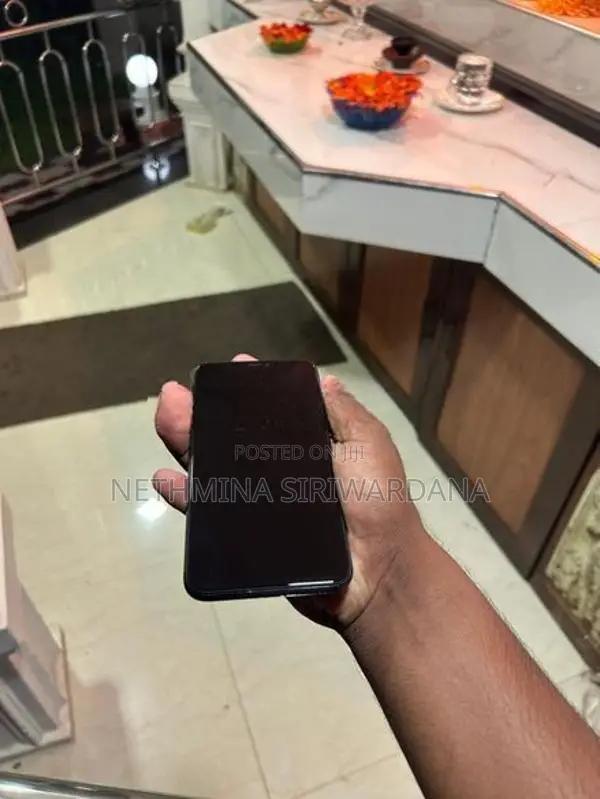 Apple iPhone 11 Pro Max (Used)