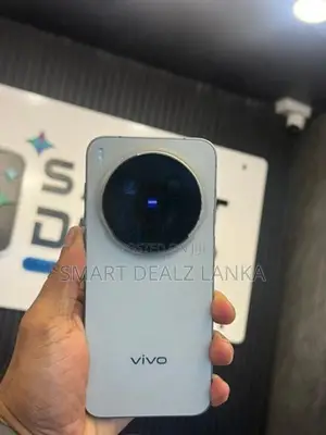 Vivo X300 Pro 512GB (Used)