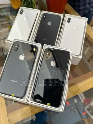 Apple iPhone XS 256GB (Used)